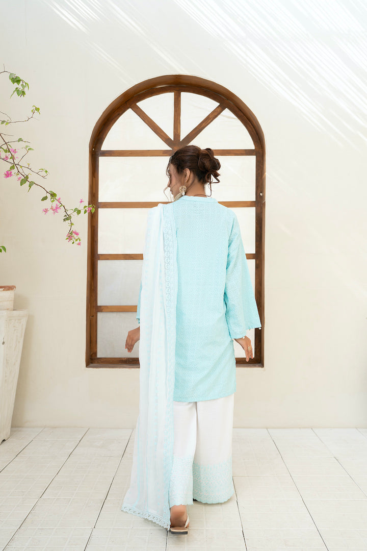 Chikankari 3pc