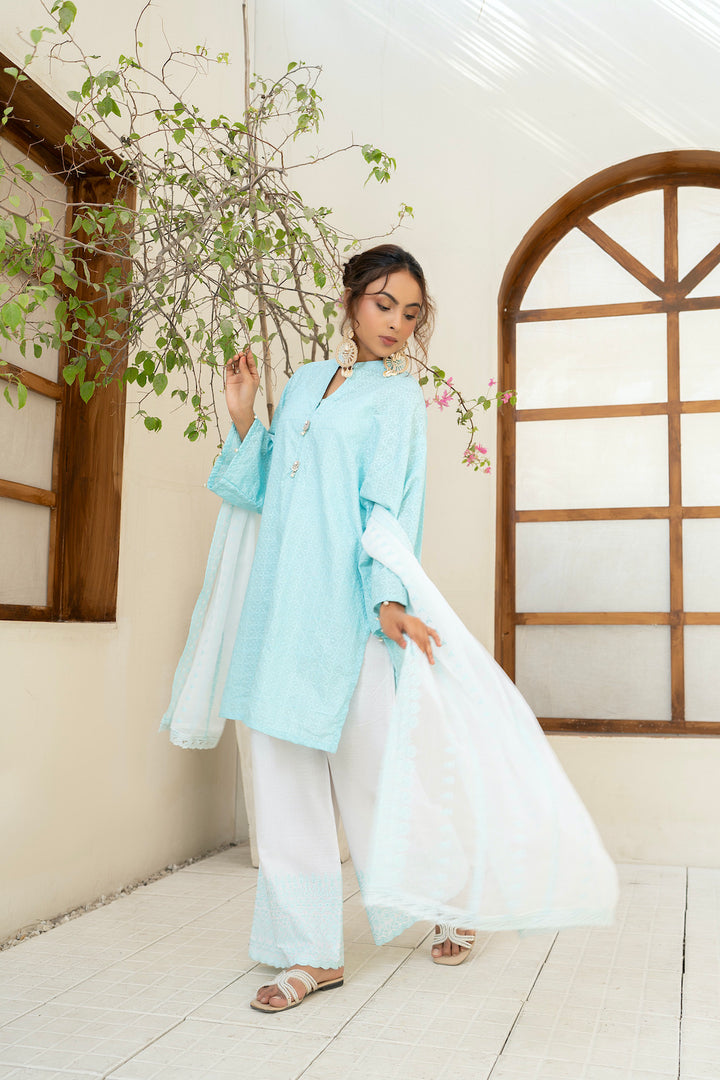 Chikankari 3pc
