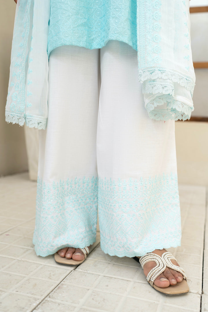 Chikankari 3pc