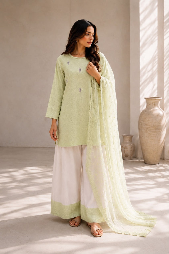 Embellished chikankari 3pc